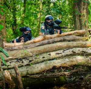 Riapertura Scenario Boschivo